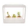 Plantario Indoor com Led Horta da Casa - 1