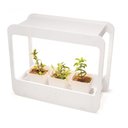 Ver imagem 3 de Plantario Indoor com Led Horta da Casa