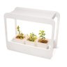 Plantario Indoor com Led Horta da Casa - 3