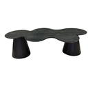 Ver imagem 1 de Mesa de Centro Cone Orgânica Splash 120x65 Cm Tampo Ébano Base Ébano