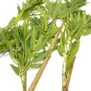 Ver imagem 4 de Planta Artificial Haste Bambu Real Toque X365 Verde 120 Cm F04 - D'Rossi