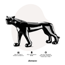 Ver imagem 5 de Escultura Estátua Pantera Caminhando Grande 88cm:preto Brilho