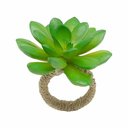 Ver imagem 1 de Porta Guardanapo Planta Verde Suculenta Lyor