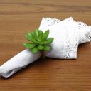 Ver imagem 2 de Porta Guardanapo Planta Verde Suculenta Lyor