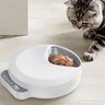 Comedouro Automatico Pet Gato Cachorro Programavel Raçao Comida Petisco Horario Porçao Dieta Petshop - 5
