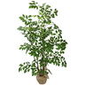 Árvore Planta Artificial Ornamental Esmeralda Folhagem Tropical Grande Decorativa - 1