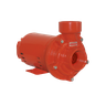 Bomba Schneider para Incêndio Bpi-92s R 2 1/2" 1,5cv Trifásico 220/380v Vermelho 220/380 (t) - 1