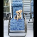 Ver imagem 5 de Cadeira Espreguicadeira Dobravel Praia Reclinavel Gravidade Zero Piscina Sol Verao Luxo Pescaria Jar