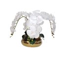 Ver imagem 3 de Arranjo Flores 4 Orquídeas Branca Artificial e Vaso Dourado
