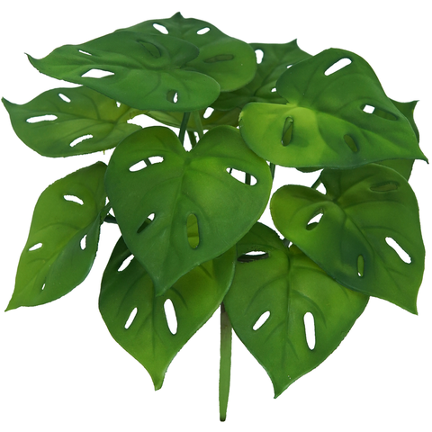 Buque Costela de Adão Real Verde 12 Folhas 25cm Folhagem