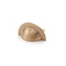 Puxador Shell Gold Escovado Zen Zp4318.b00 - 64 Mm - 3