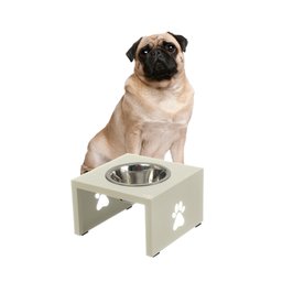 Comedouro Elevado Individual Cão Porte P Branco - 2