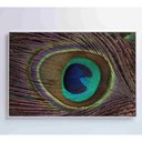 Ver imagem 3 de Quadro Penas De Pavão 90x60 Cm Vidro Impresso