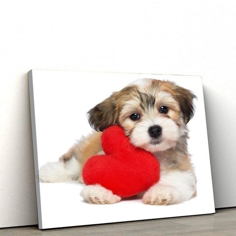Quadros Decorativos de Pvc 043 - 50 X 75 Cm