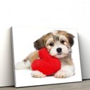 Ver imagem 1 de Quadros Decorativos de Pvc 043 - 50 X 75 Cm