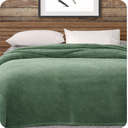 Ver imagem 1 de Cobertor Plush Fleece Queen (2,40x2,20) - Cor: Menta