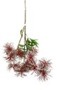 Ver imagem 3 de Haste Decor Suculentas Vermelha X7 com 77cm