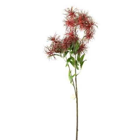 Haste Decor Suculentas Vermelha X7 com 77cm