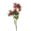 Ver imagem 2 de Haste Decor Suculentas Vermelha X7 com 77cm