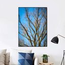 Ver imagem 1 de Quadro Canvas Galhos 1,20x90
