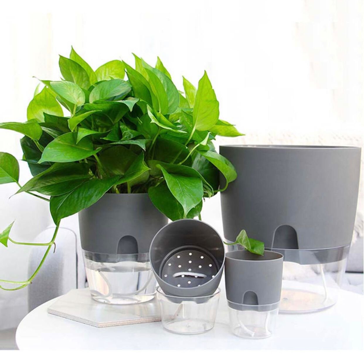 Vaso Auto Irrigável Brsnco Medio Para Decoração De Jardim/De Plantas Hidropônico/Suculentas - 4