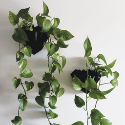 Vaso de planta para parede Diamante - Preto - 1