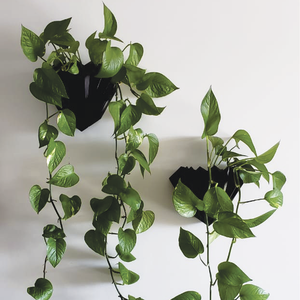 Vaso de planta para parede Diamante - Preto