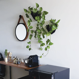Vaso de planta para parede Diamante - Preto - 3