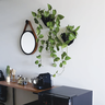 Vaso de planta para parede Diamante - Preto - 3