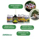 Ver imagem 3 de Kit Fertilizantes Superthrive Orchid + Original + Pro-Tekt + Bonsai