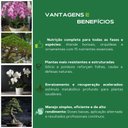 Ver imagem 4 de Kit Fertilizantes Superthrive Orchid + Original + Pro-Tekt + Bonsai