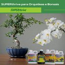 Ver imagem 2 de Kit Fertilizantes Superthrive Orchid + Original + Pro-Tekt + Bonsai