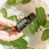 Óleo Essencial de Spearmint - Hortelã-verde 15ml do Terra - 2