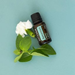 Óleo Essencial de Spearmint - Hortelã-verde 15ml do Terra - 3