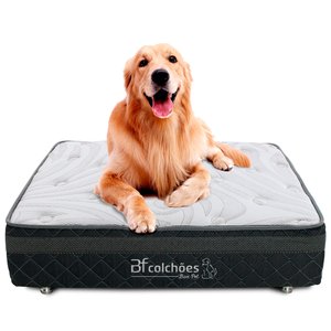 Cama Box Caminha Pet Para Cachorros e Gatos + Lençol Impermeável 100x100cm - Bf Colchões
