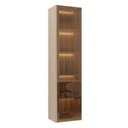 Ver imagem 3 de Cristaleira Suspensa 1 Porta Vidro Reflecta e Iluminação LED 100% MDF Galiano Grann Astro Foscarini