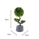Ver imagem 2 de Vaso Bonsai com Árvore Artificial Realista Decorativo Resina