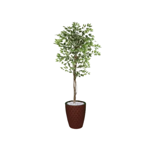 Planta Artificial Ficus Verde Creme 1,50 kit + Vaso E. Marrom 30 cm