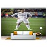 Papel De Parede Esportes Futebol Bola Campo 3D 7,50M² Spt27 - 1