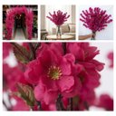 Ver imagem 6 de Kit 15 Hastes Flor de Cerejeira Artificial 125cm Decoração Realista e Elegante