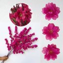 Ver imagem 3 de Kit 15 Hastes Flor de Cerejeira Artificial 125cm Decoração Realista e Elegante
