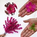 Ver imagem 4 de Kit 15 Hastes Flor de Cerejeira Artificial 125cm Decoração Realista e Elegante