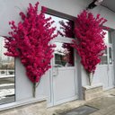 Ver imagem 1 de Kit 15 Hastes Flor de Cerejeira Artificial 125cm Decoração Realista e Elegante