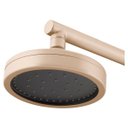 Ver imagem 3 de Chuveiro Articulado Parede Mix Plus Champanhe Fani 3000 Ch501