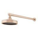 Ver imagem 1 de Chuveiro Articulado Parede Mix Plus Champanhe Fani 3000 Ch501