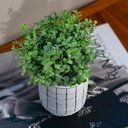 Ver imagem 2 de Pick Folhas Verdes P Planta Artificial Permanente 23cm Decore Fácil Shop