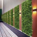 Ver imagem 4 de 24 Painéis de Plantas Artificiais com Folhagens Variadas para Escritórios e Ambientes Modernos