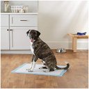 Ver imagem 4 de Tapete Higienico Pet Cao Cachorro 60x90 20 Unidades Antivazamento Treinamento Adestramento Animal de