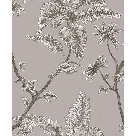 Papel de Parede Colors Wallpaper - Co 77153 Folhagem