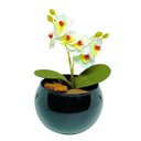 Ver imagem 1 de Vaso Decorativo Aquario Preto Esmaltado com Mini Orquídea - Branco com Amarelo